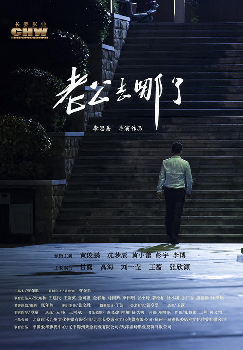 老公去哪了 封面