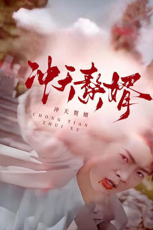 冲天赘婿 封面