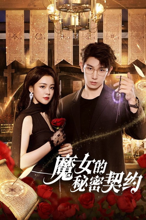 魔女的秘密契约 封面