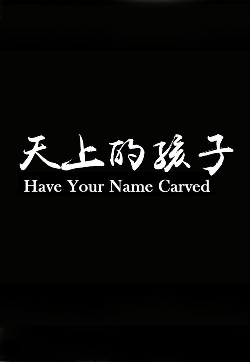 天上的孩子 封面