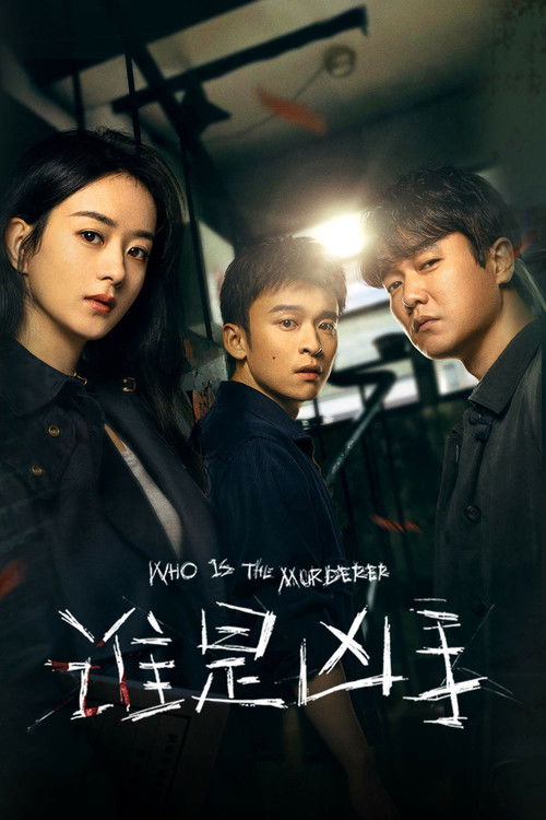 谁是凶手 封面
