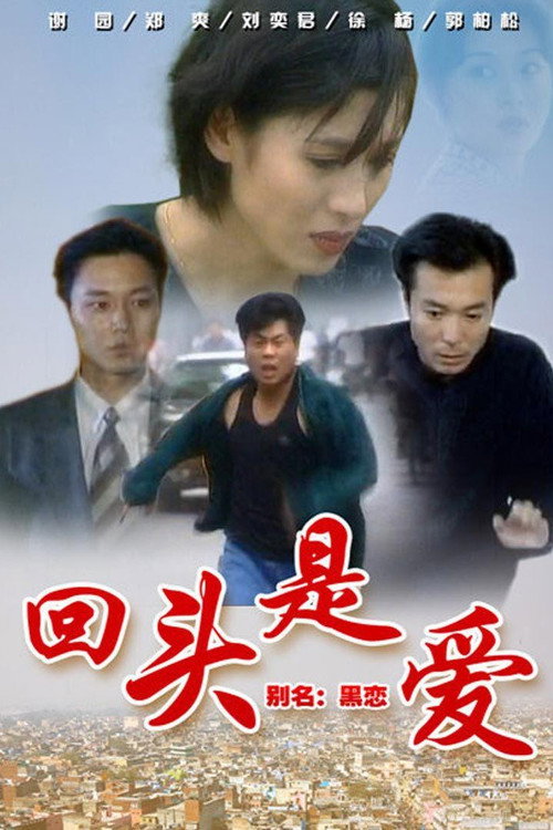 回头是爱 封面