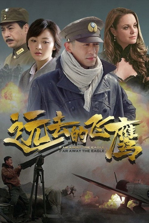 远去的飞鹰 封面