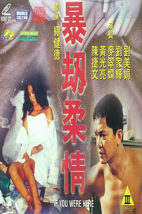 暴劫柔情 封面