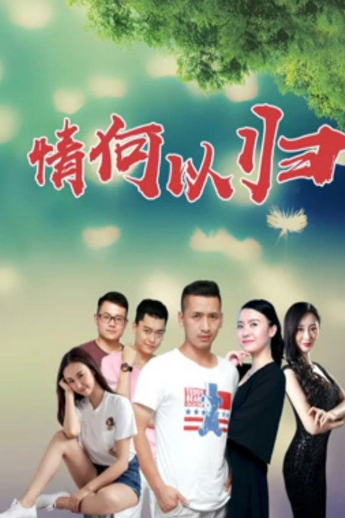 情何以归 封面