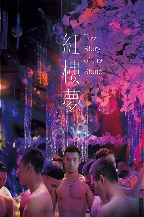 红楼梦 封面