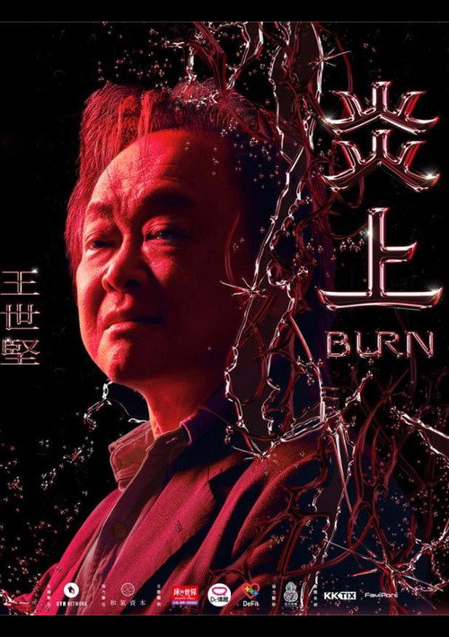《炎上 Burn》王世堅 封面