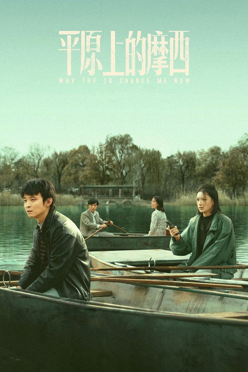 平原上的摩西 封面