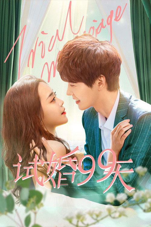 试婚99天 封面