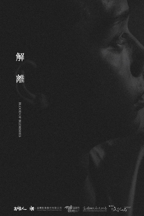 解離 封面
