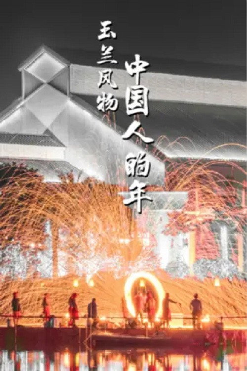 中国人的年 封面