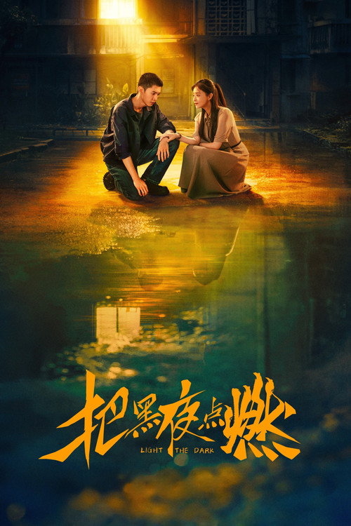 把黑夜点燃 封面