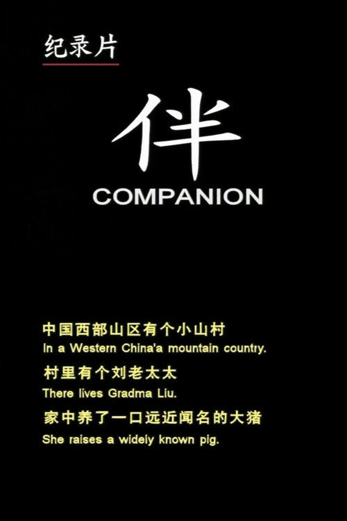 伴 封面