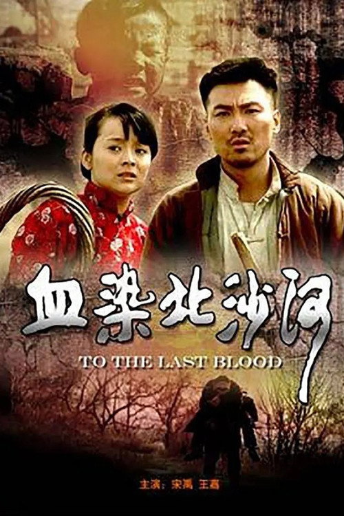 血染北沙河 封面