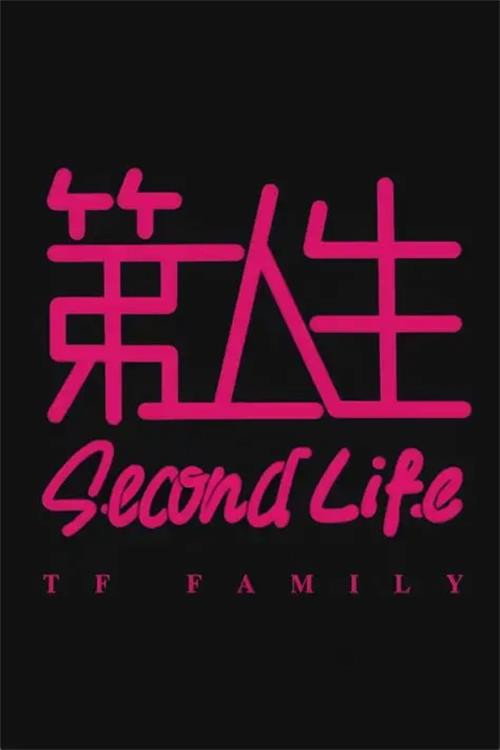 第二人生 封面