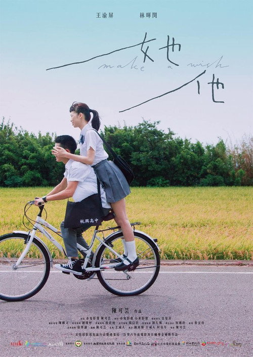 她他 封面