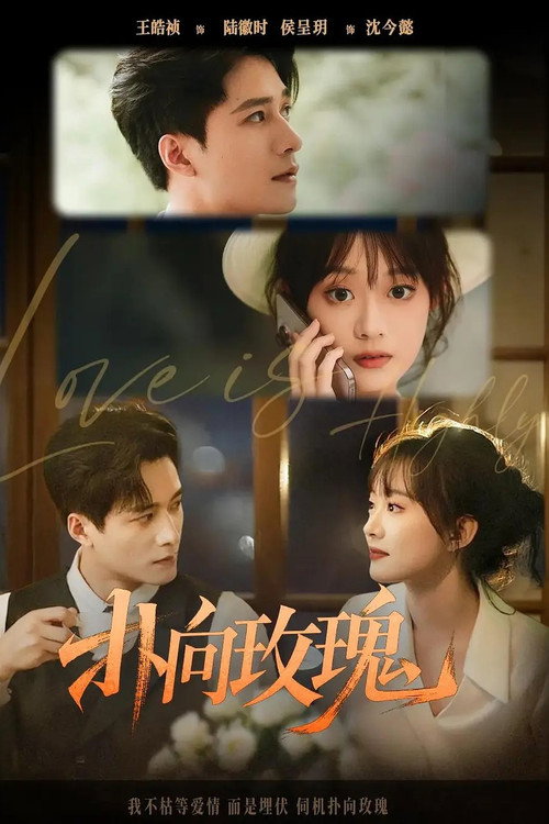 扑向玫瑰 封面