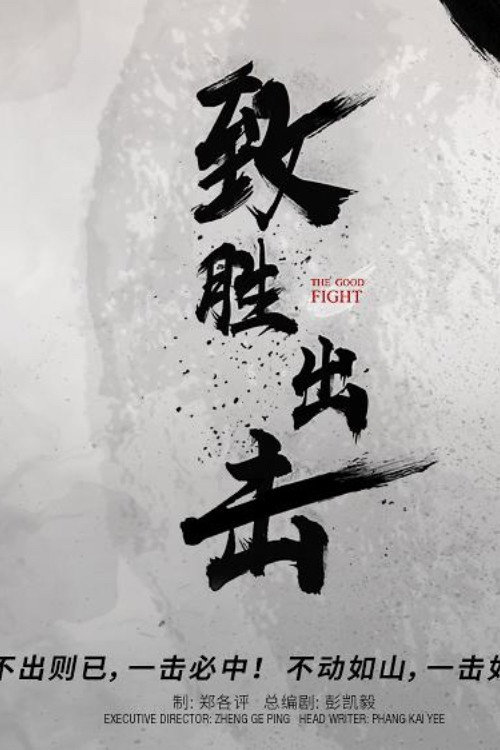 致胜出击 封面