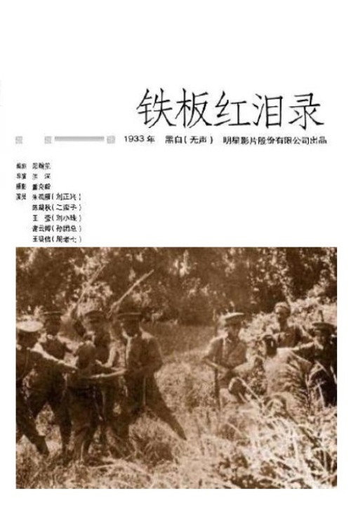 铁板红泪录 封面