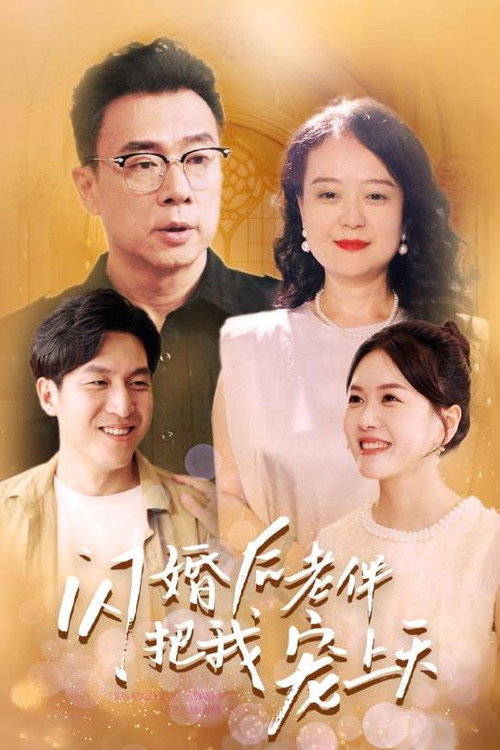 闪婚后老伴把我宠上天 封面