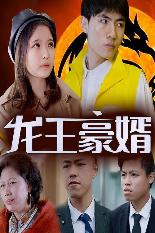 龙王豪婿 封面