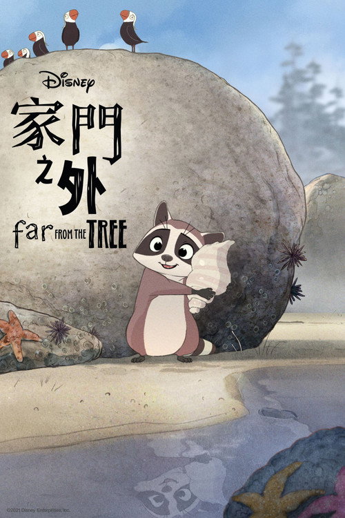家门之外 封面
