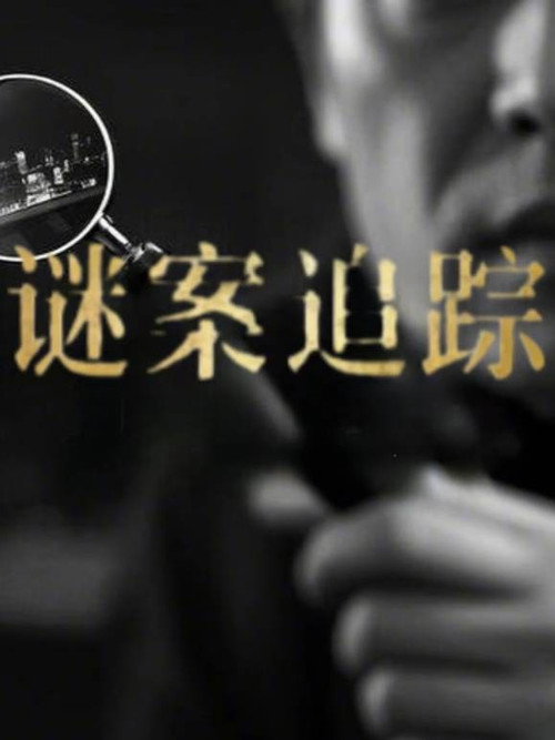 谜案追踪 封面