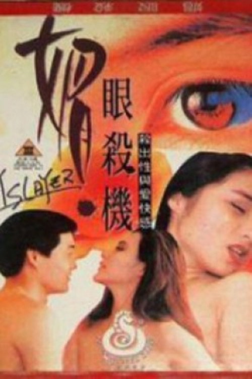 媚眼复仇记 封面