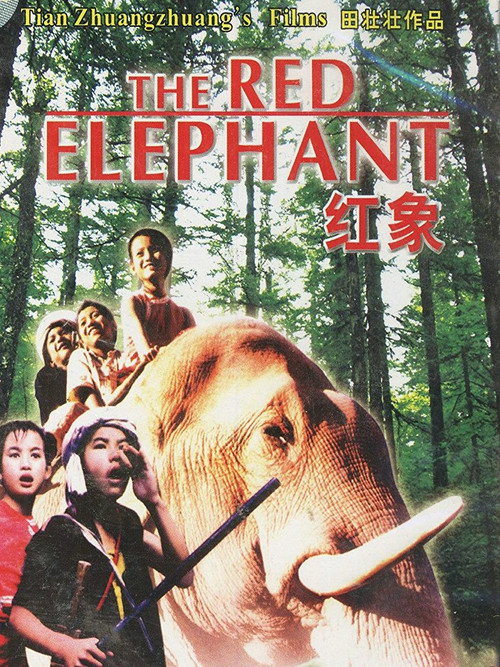 红象 封面