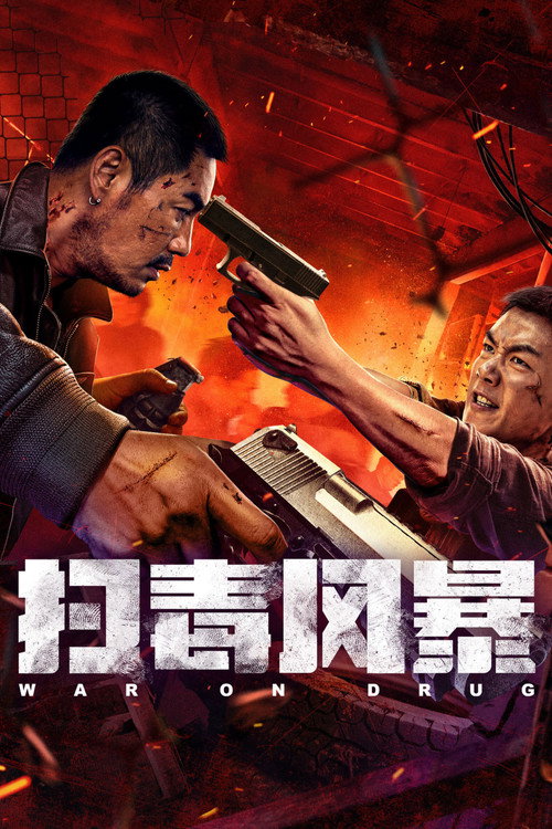 扫毒风暴 封面