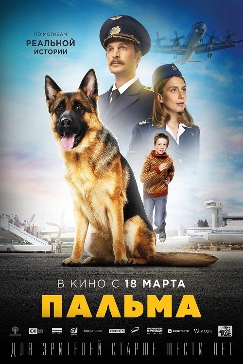 忠犬帕尔玛 封面