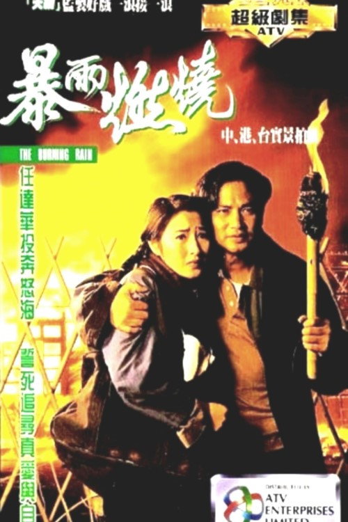 暴雨燃烧 封面