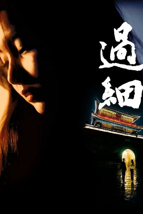 过细 封面