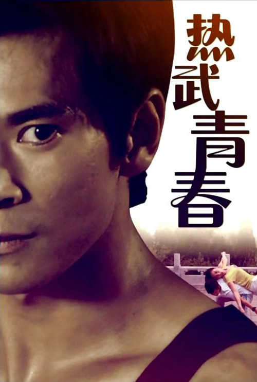 热武青春 封面
