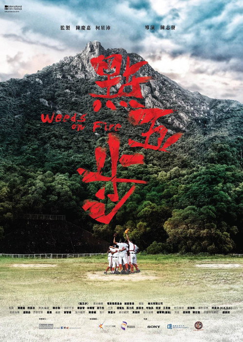 点五步 封面