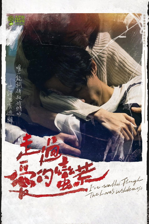 走过爱的蛮荒 封面