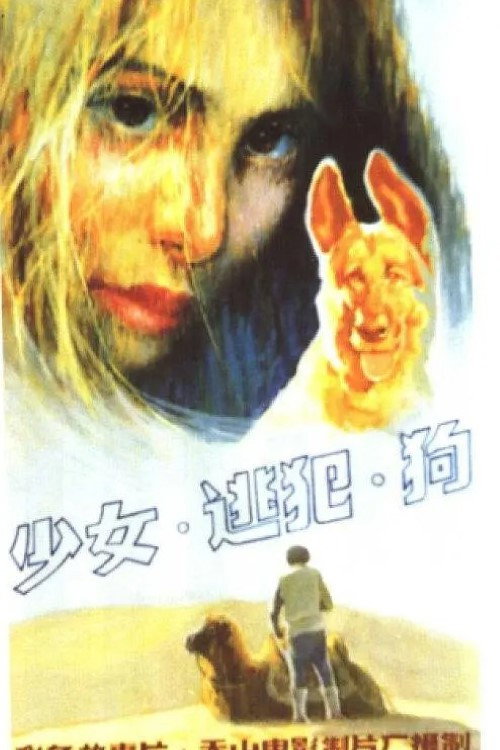 少女、逃犯、狗 封面