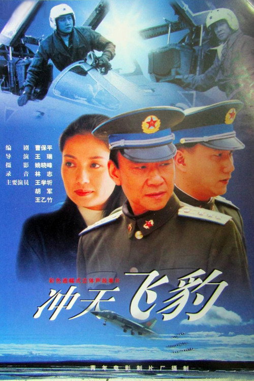 冲天飞豹 封面