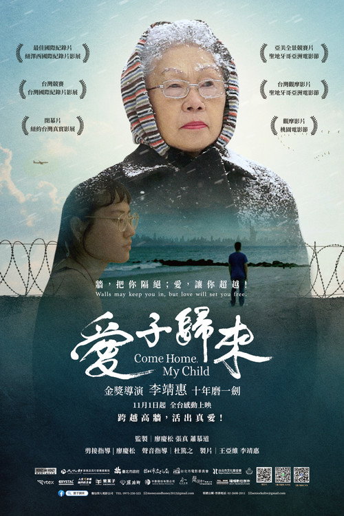 爱子归来 封面