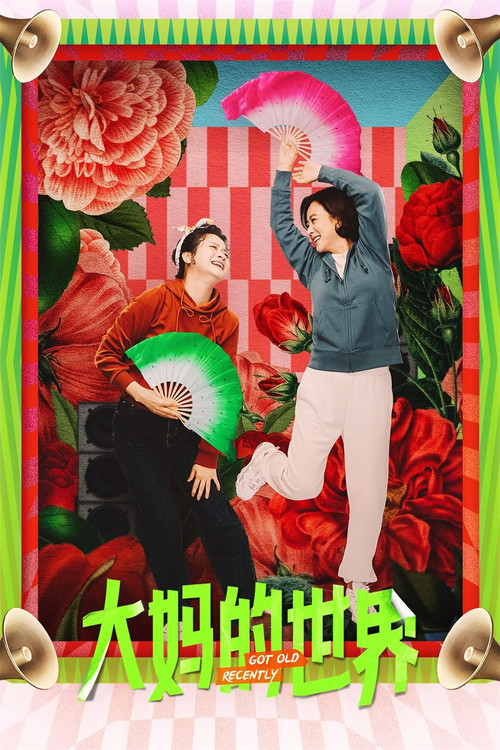 大妈的世界 封面