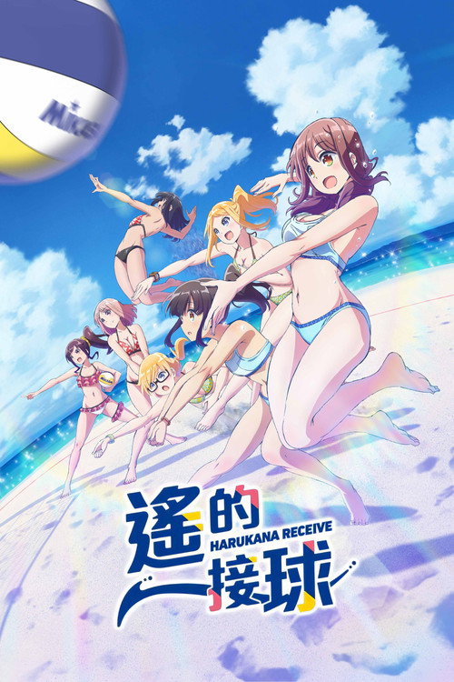 遥的接球 封面