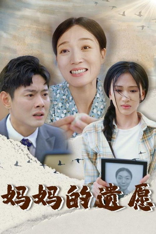 妈妈的遗愿 封面