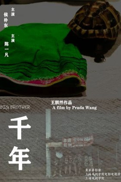 Big Brother 封面