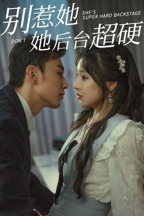 别惹她她后台超硬 封面