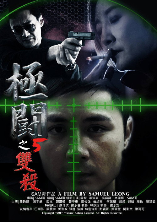 極闘5：雙殺 封面