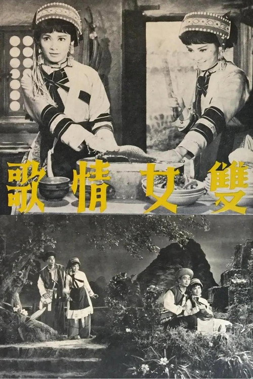 双女情歌 封面