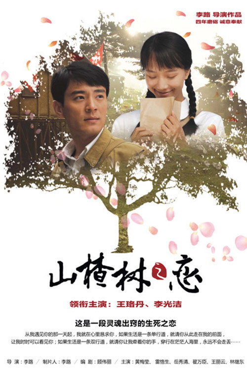 山楂树之恋 封面