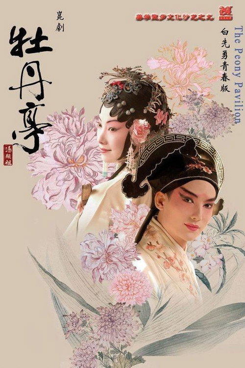 灿烂极致牡丹亭一青春典藏·精华本 封面