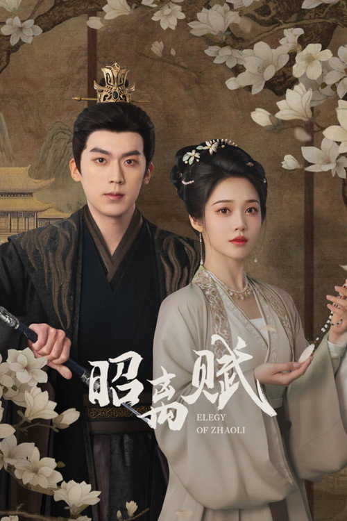 昭离赋 封面