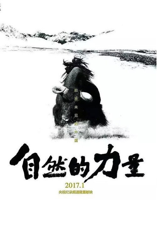 自然的力量 封面